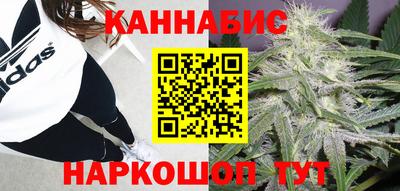 сатива Ефремов